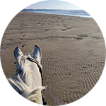 balade en cheval sur la plage