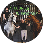 manège equestre